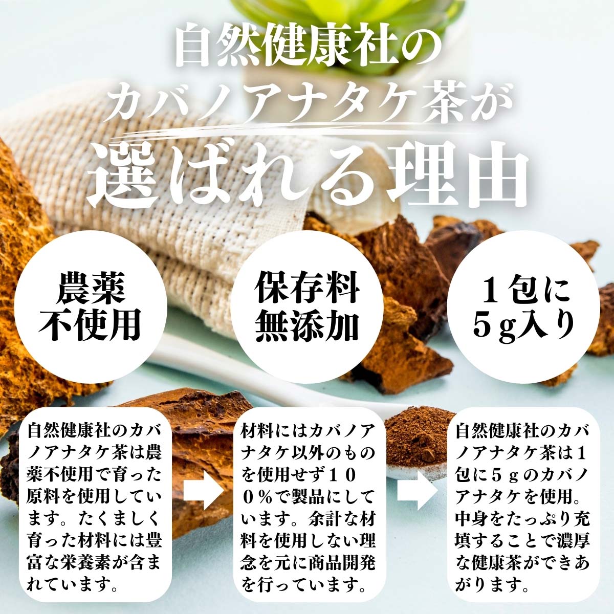 カバノアナタケ茶が選ばれる理由