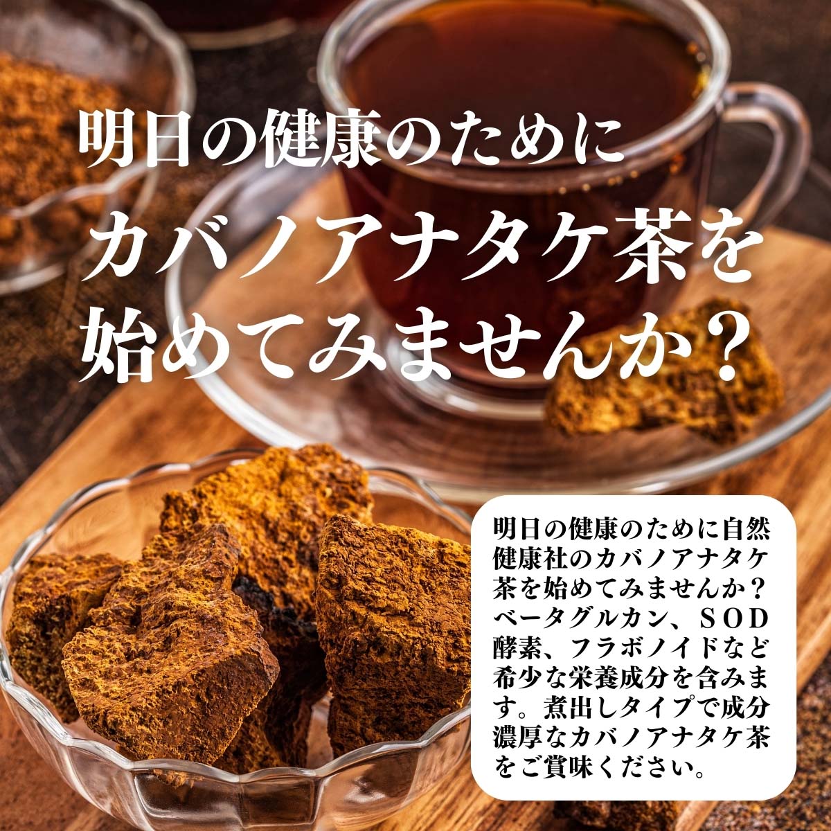 カバノアナタケ茶を始めてみませんか？