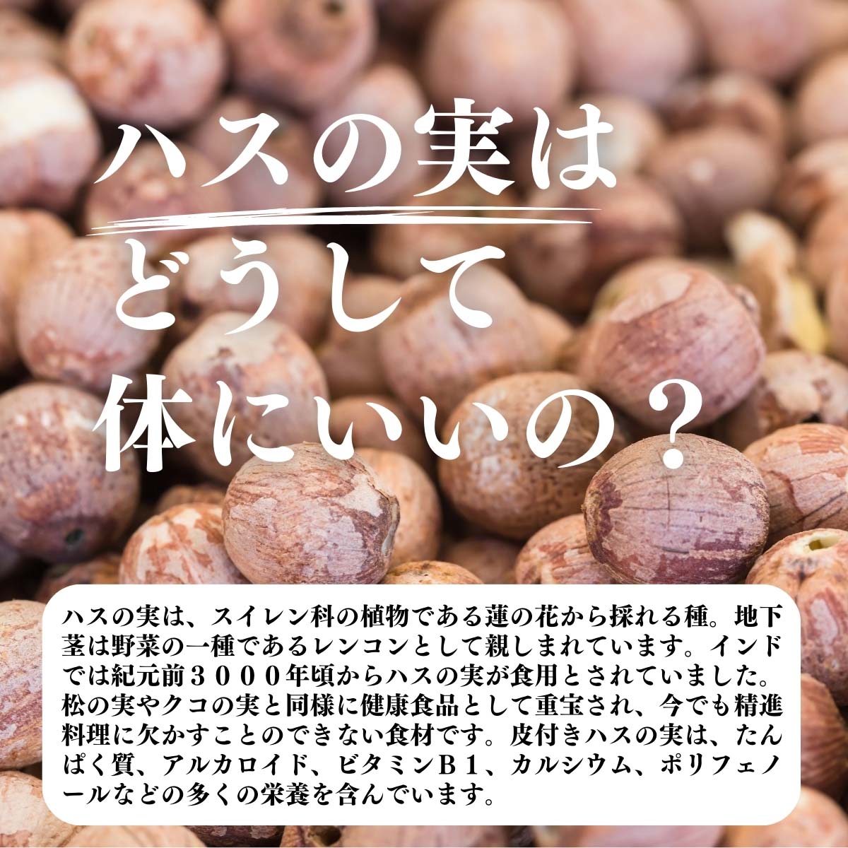 ハスの実はどうして体にいいの？