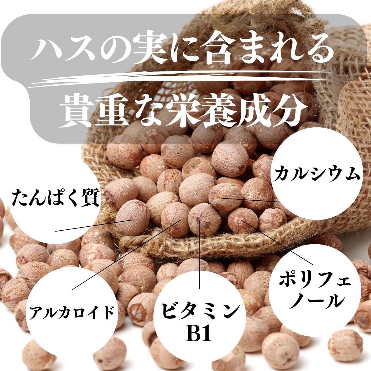 ハスの実に含まれる貴重な栄養成分