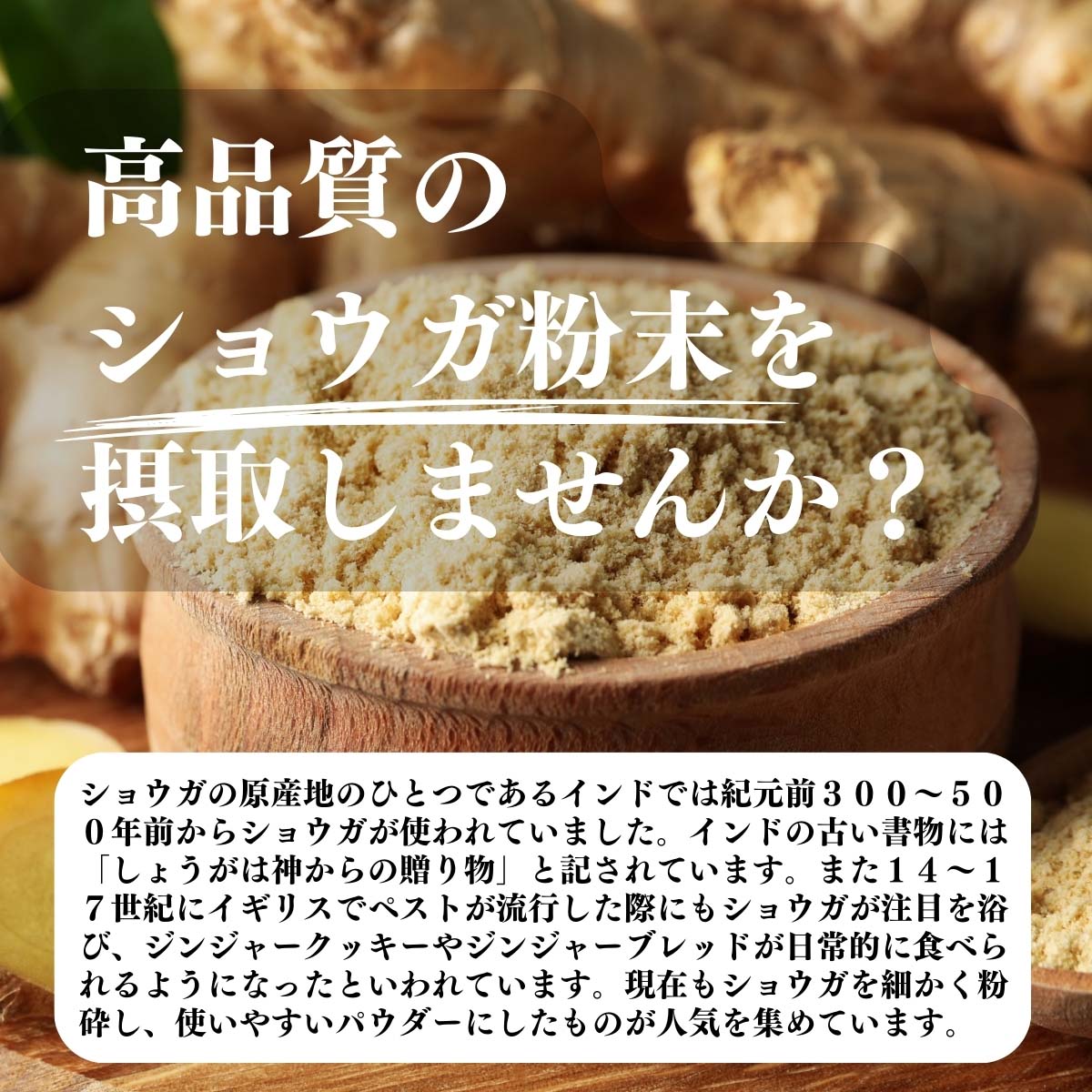 高品質のショウガ粉末を摂取しませんか？