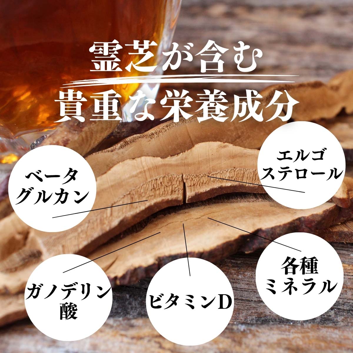 霊芝が含む貴重な栄養成分