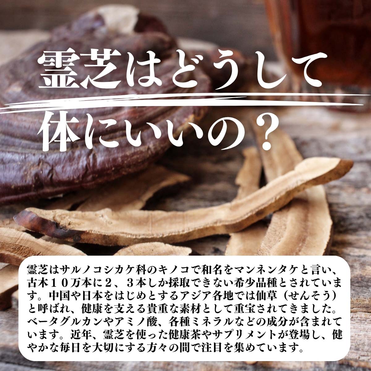 霊芝はどうして体にいいの？