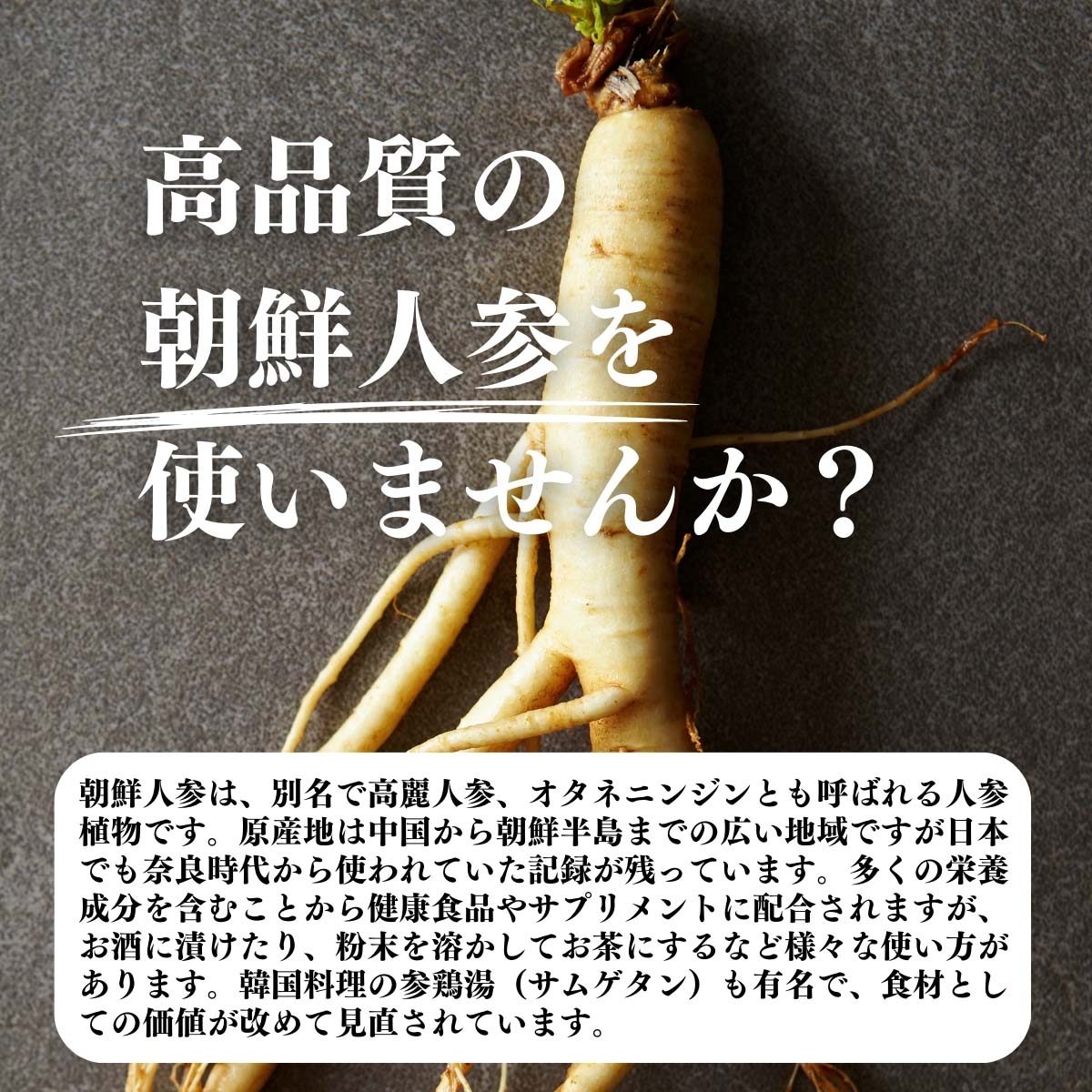 高品質の朝鮮人参を使いませんか？