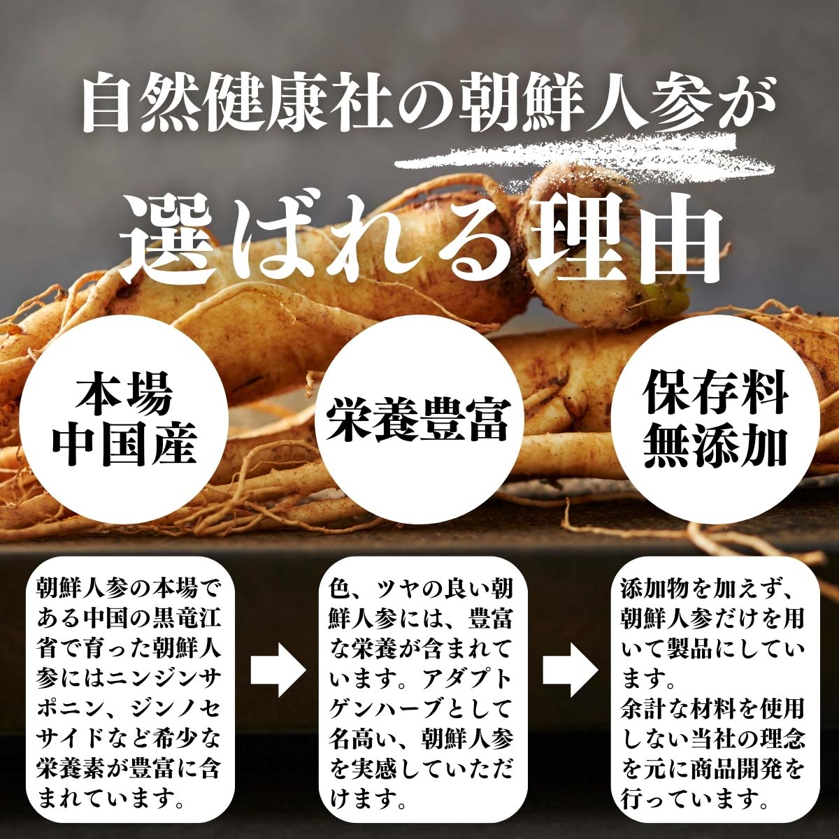 朝鮮人参が選ばれる理由