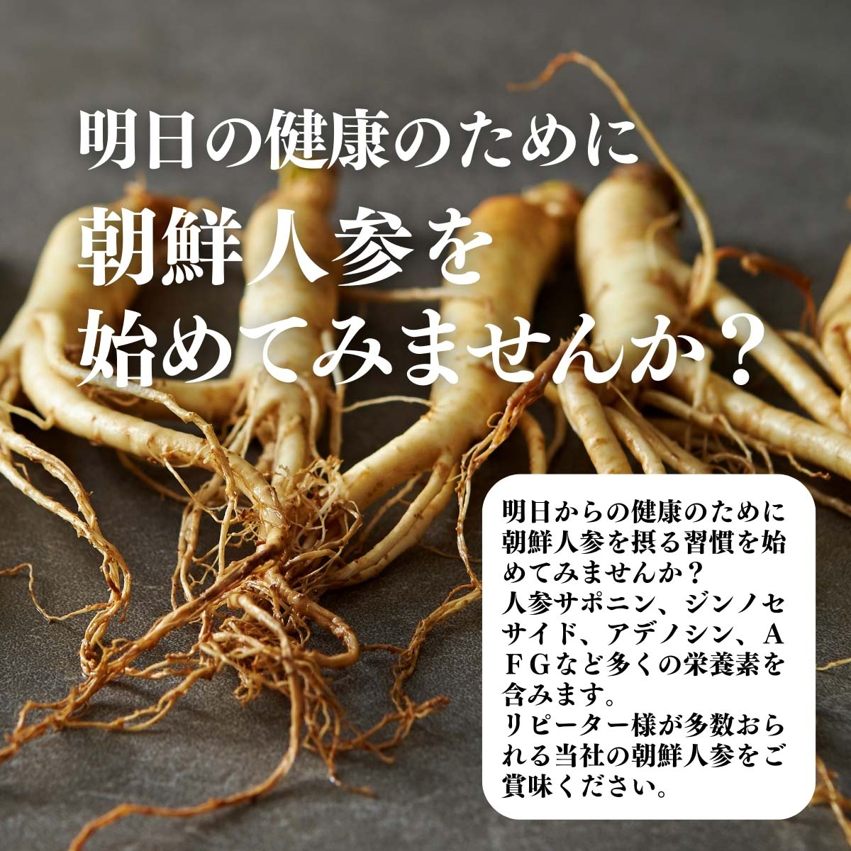 朝鮮人参をはじめてみませんか？
