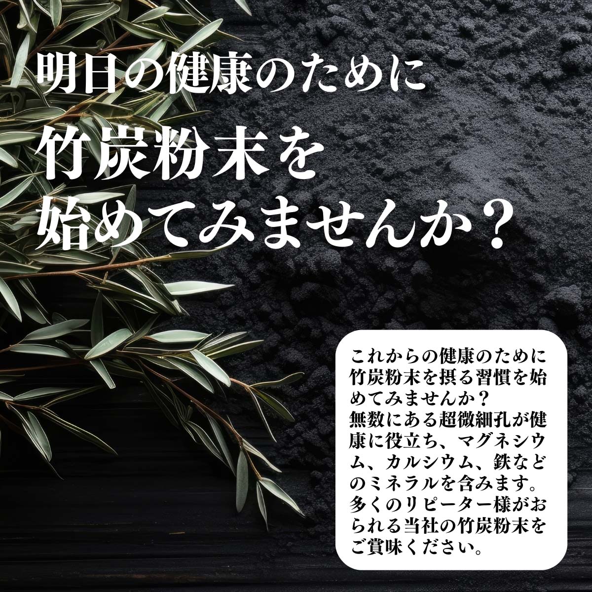 竹炭粉末を始めてみませんか？