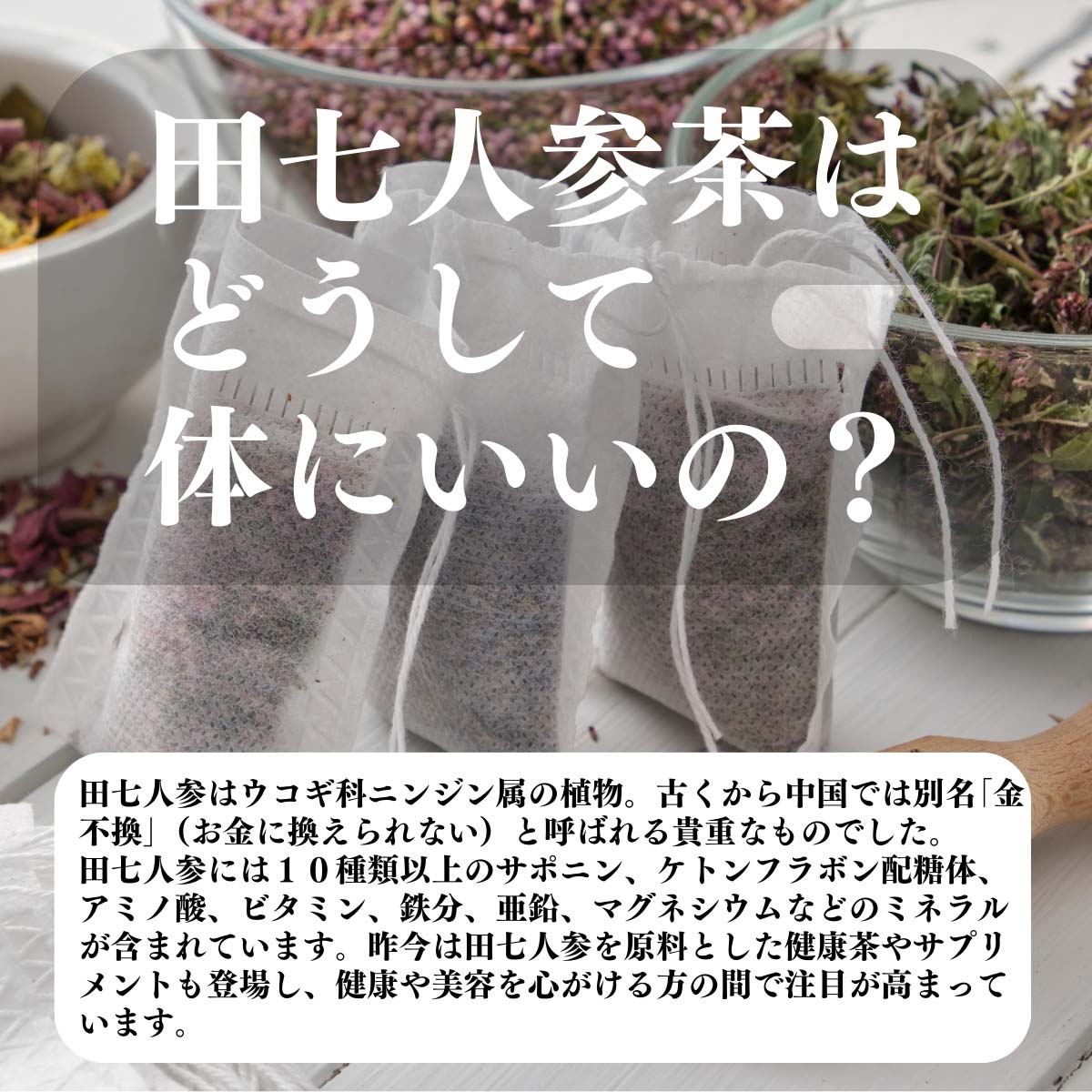 田七人参茶はどうして体にいいの？