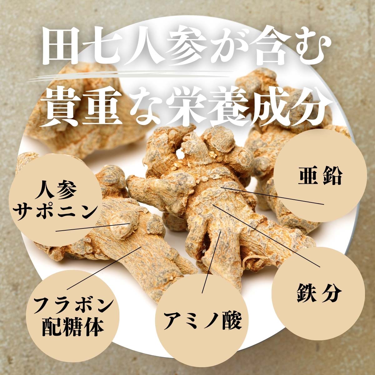 田七人参が含む貴重な栄養成分
