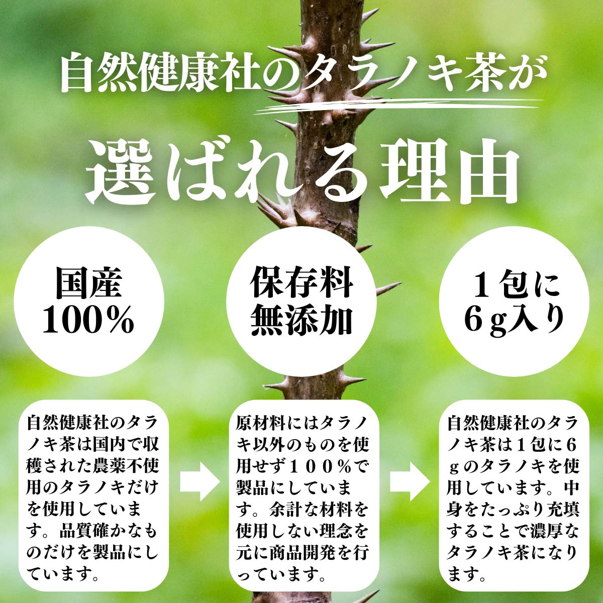タラノキ茶が選ばれる理由