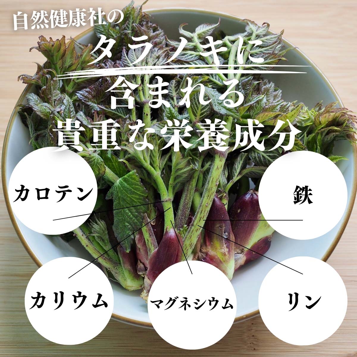 タラノキに含まれる貴重な栄養成分