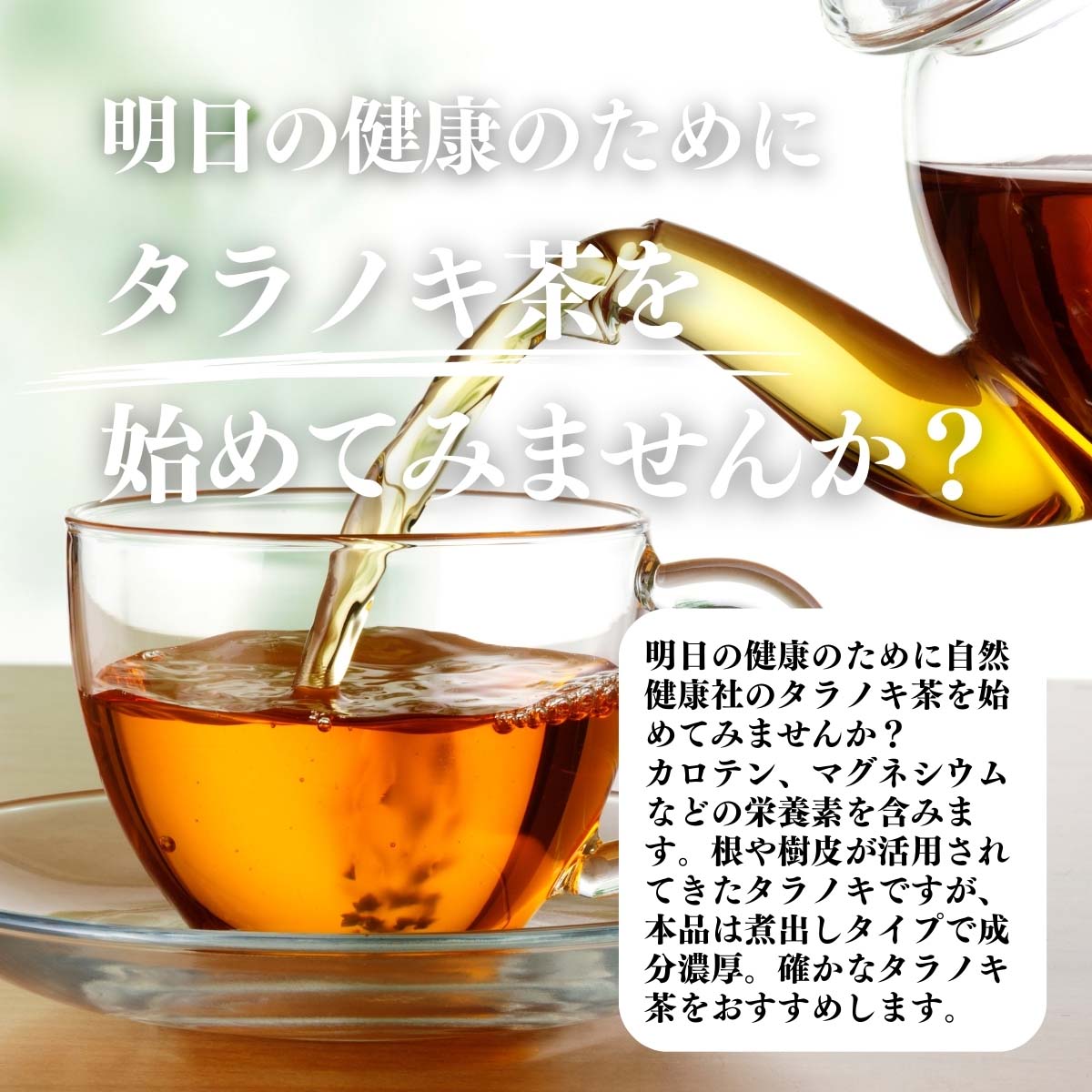 タラノキ茶をはじめてみませんか？