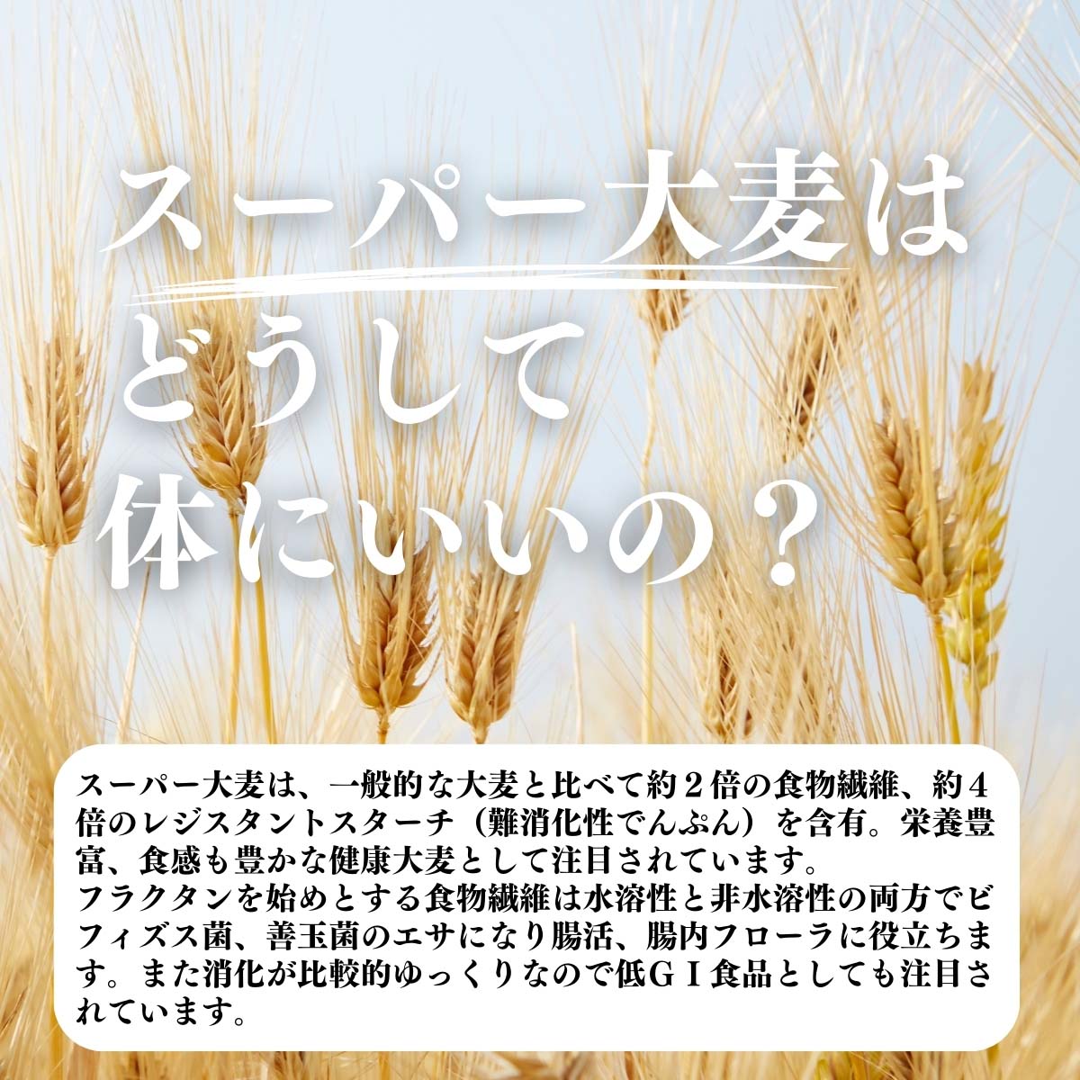 スーパー大麦はどうして体にいいの？
