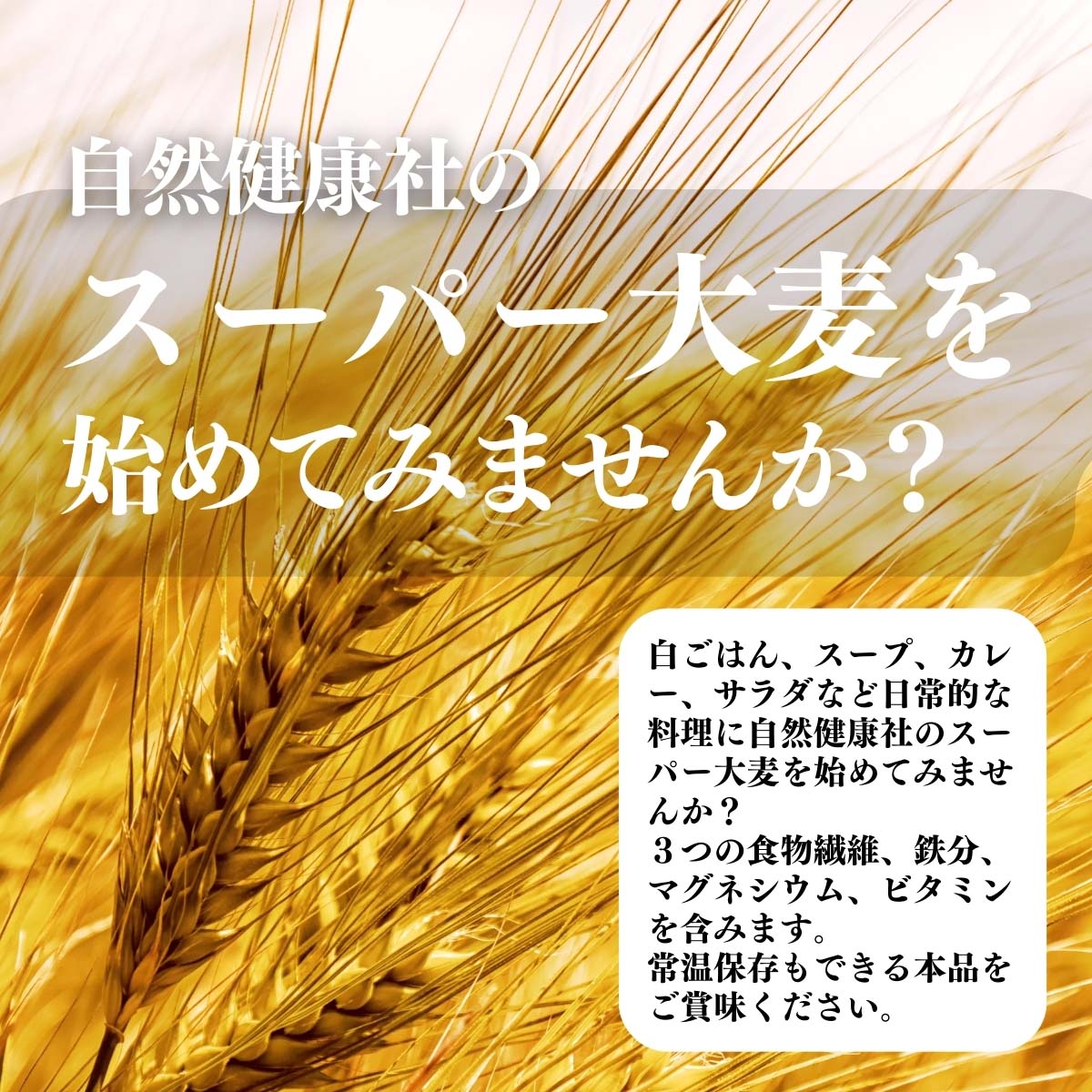 スーパー大麦を始めてみませんか？