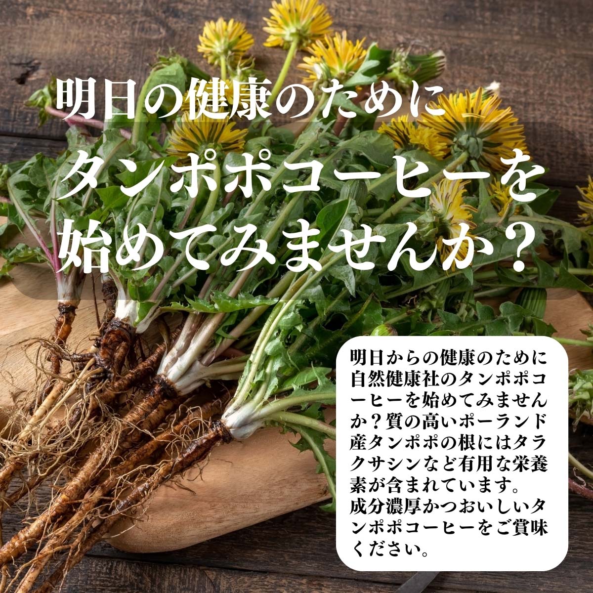 タンポポコーヒーを始めてみませんか？