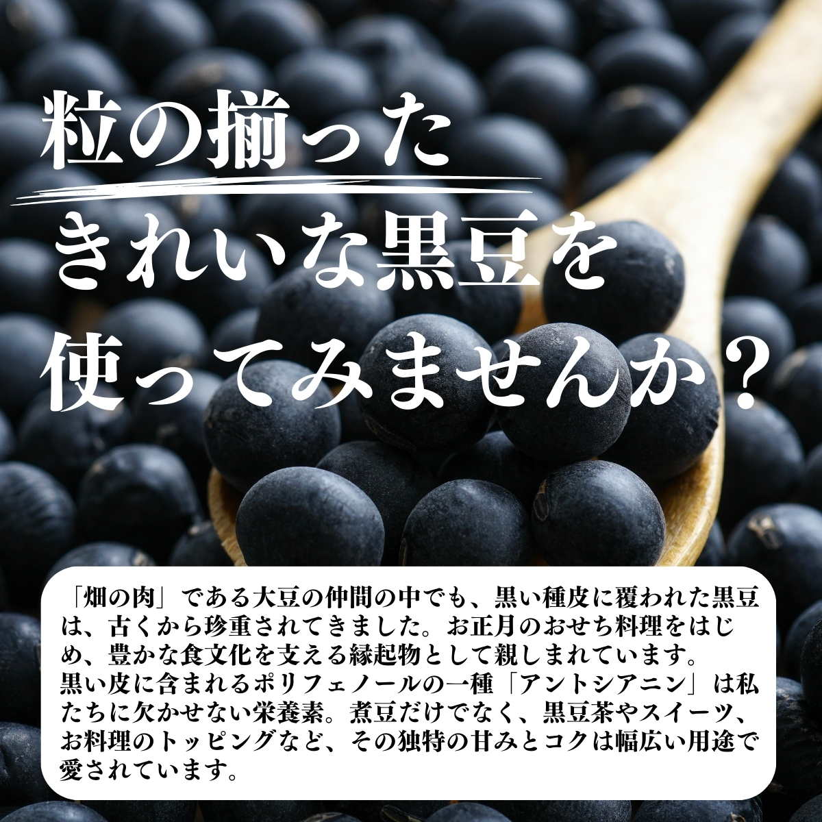 粒の揃ったきれいな黒豆を使ってみませんか？