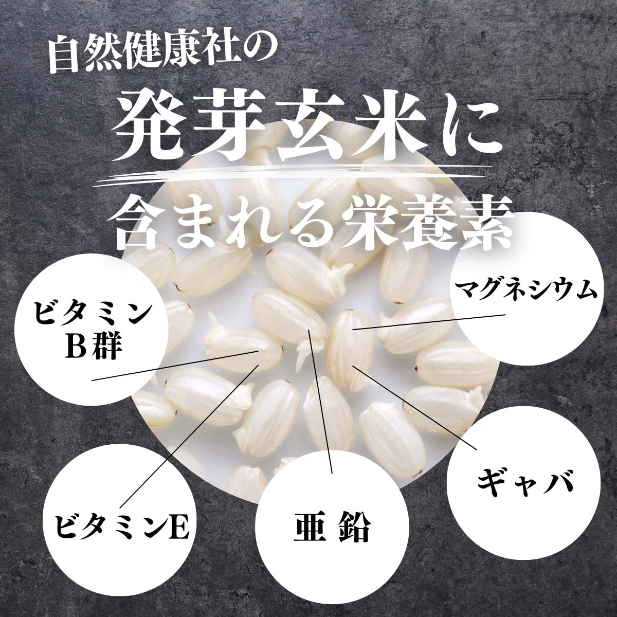 発芽玄米に含まれる栄養素