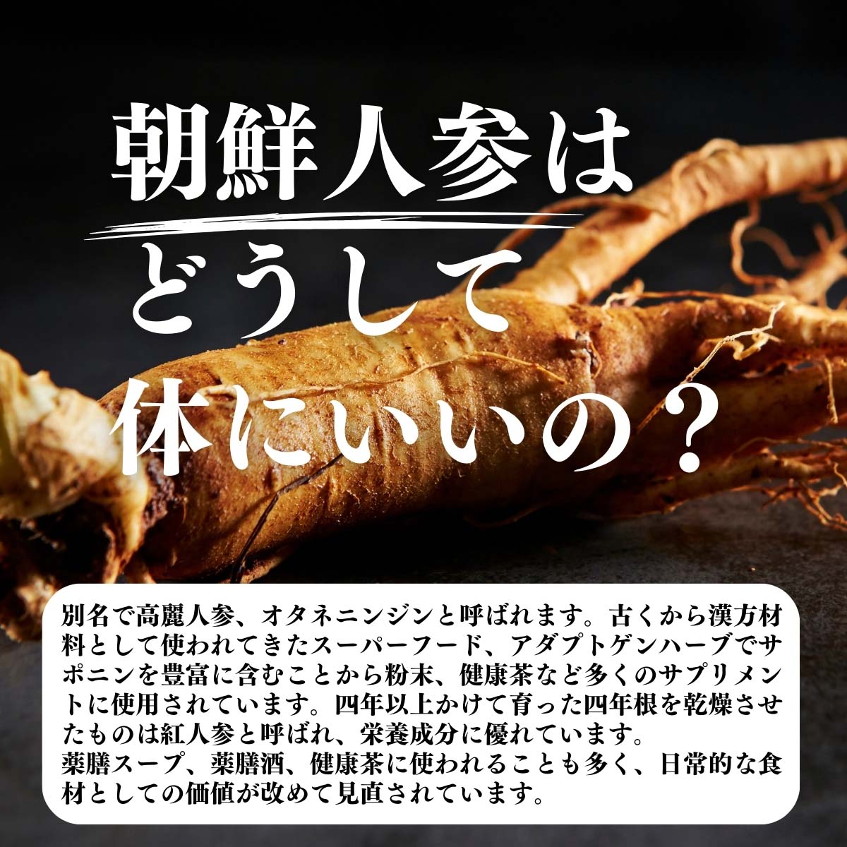 朝鮮人参はどうして体にいいの？