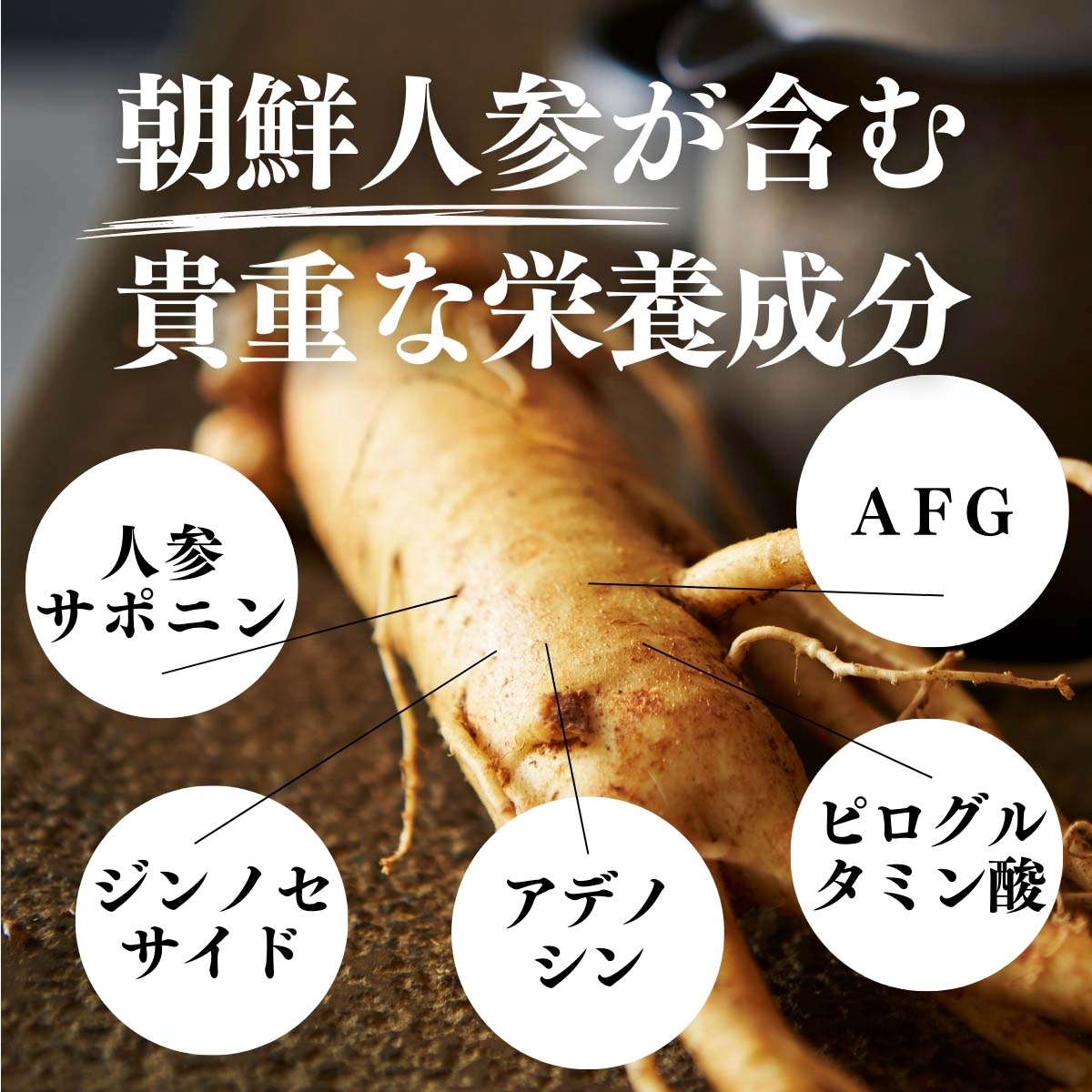 朝鮮人参が含む貴重な栄養成分
