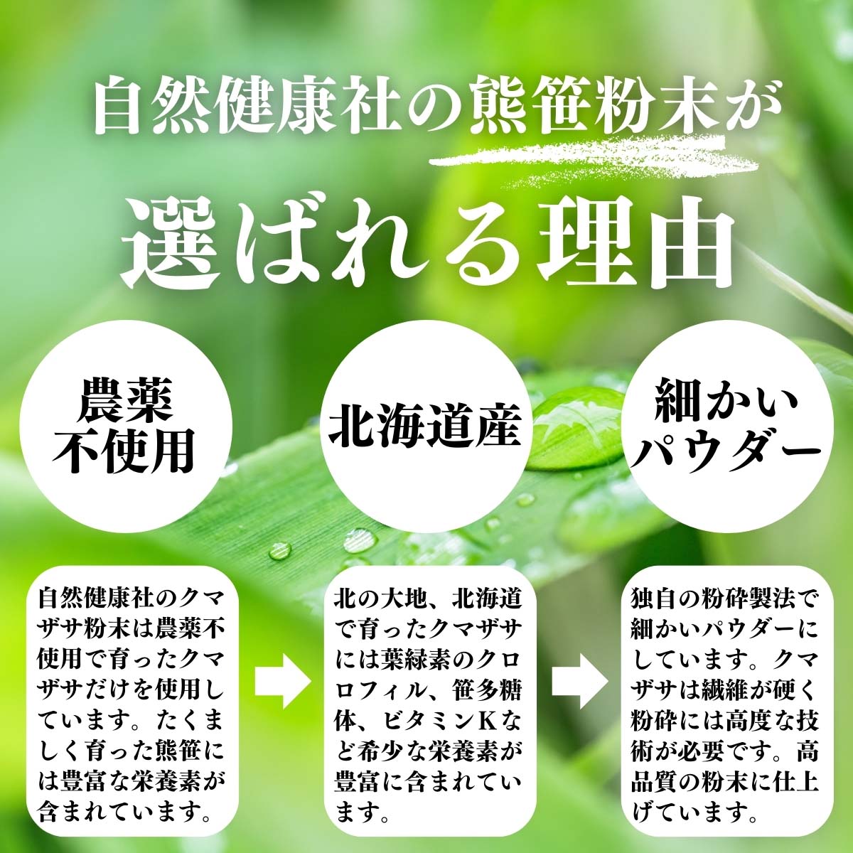 熊笹粉末が選ばれる理由
