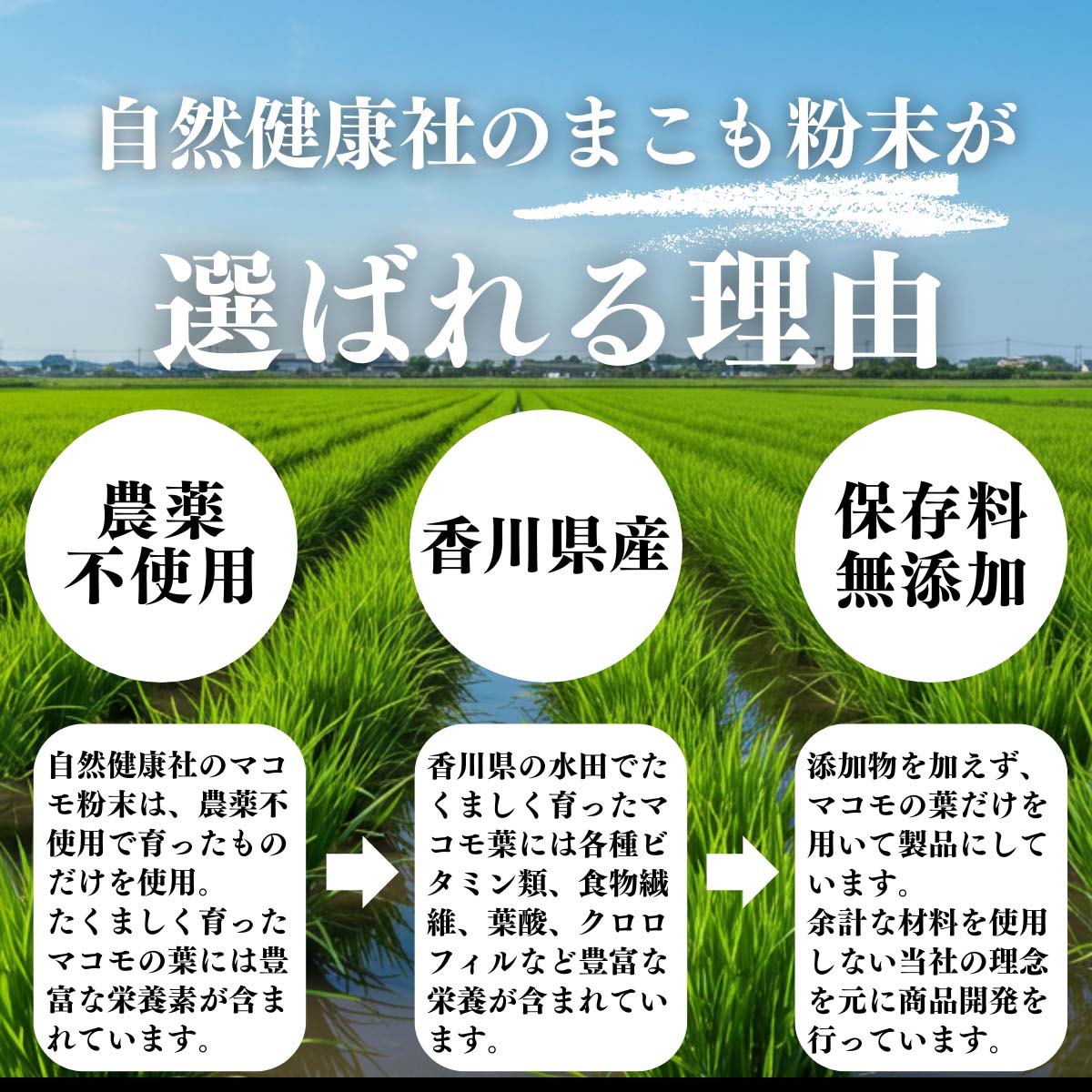 まこも粉末が選ばれる理由