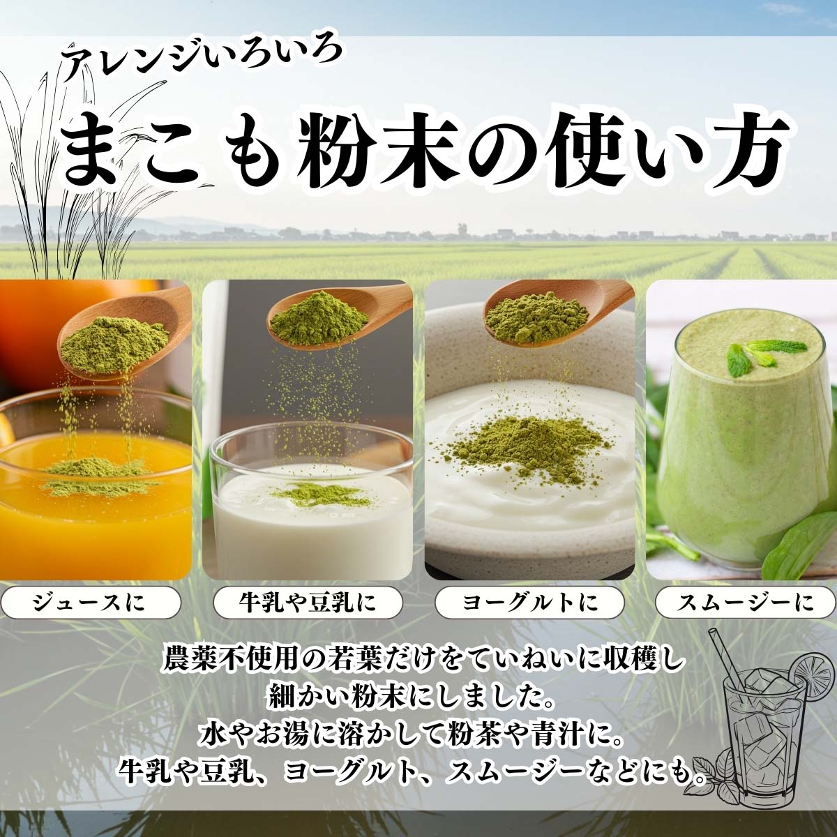 まこも粉末の使い方