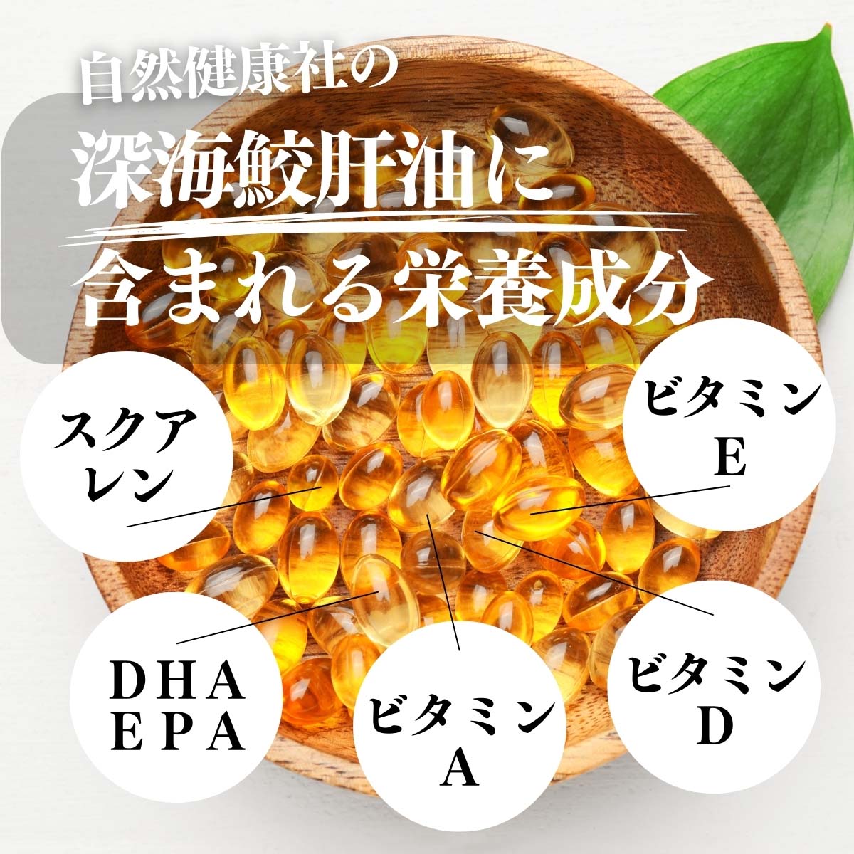 深海鮫肝油に含まれる栄養成分
