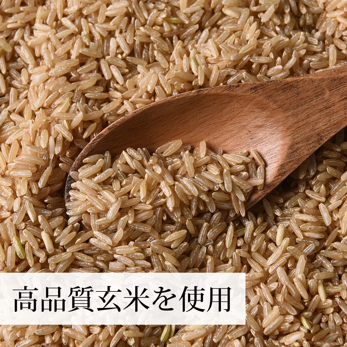 高品質の玄米から得たプロテイン