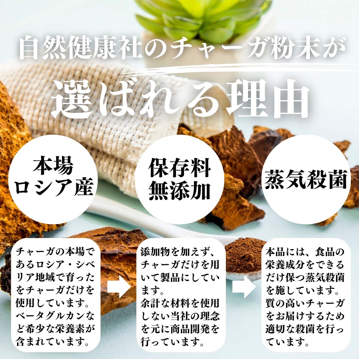 チャーガが選ばれる理由