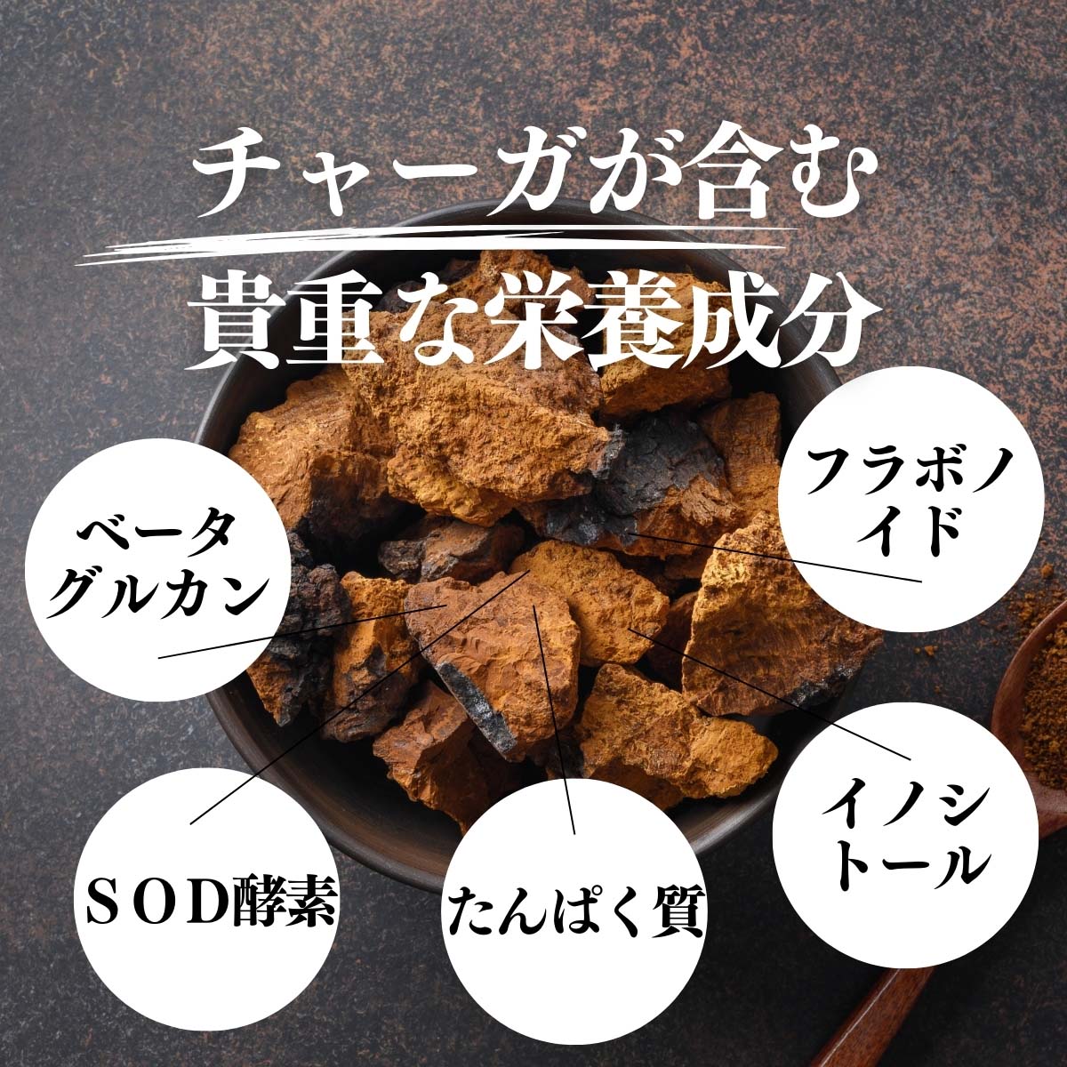 チャーガが含む貴重な栄養成分