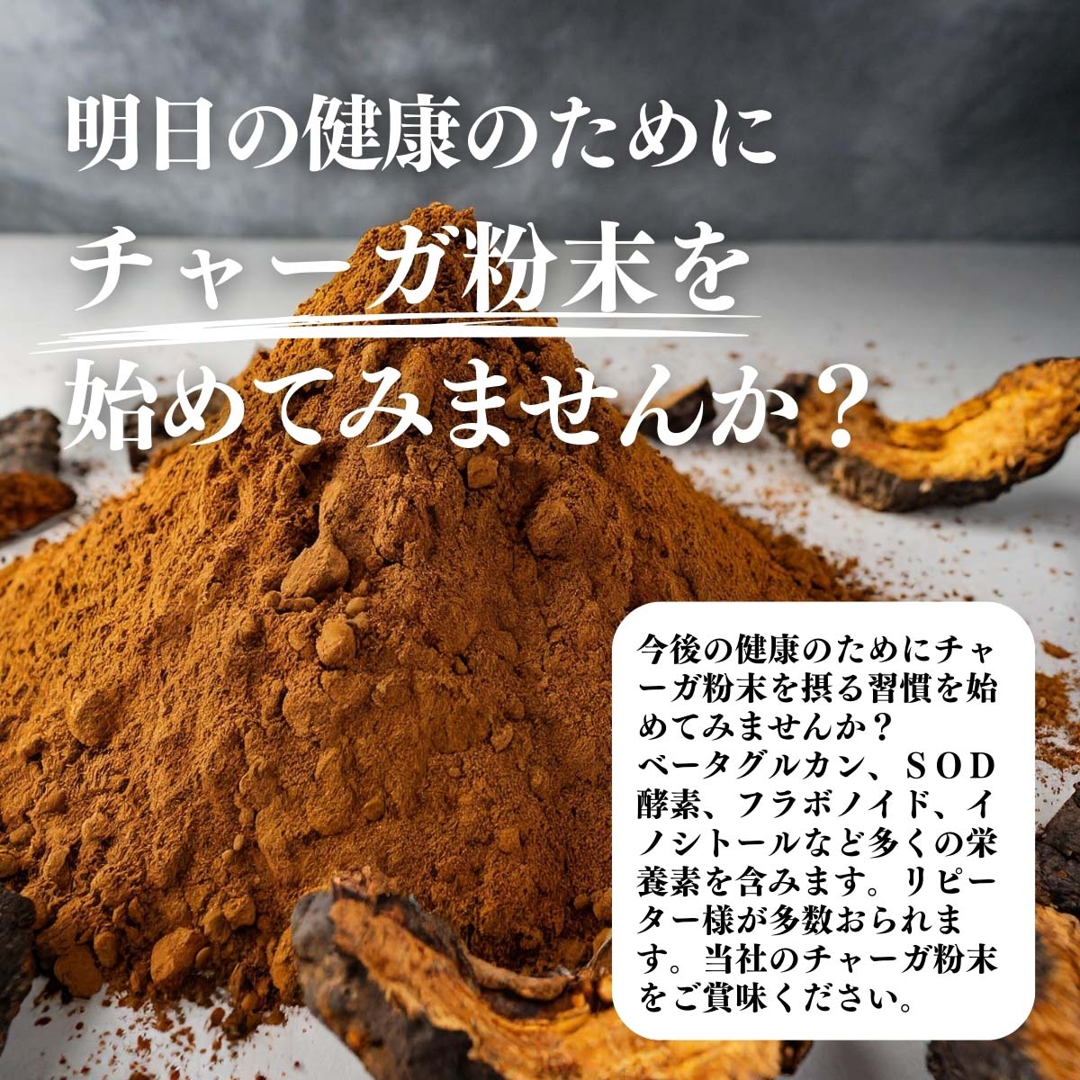 チャーガ粉末を始めてみませんか？