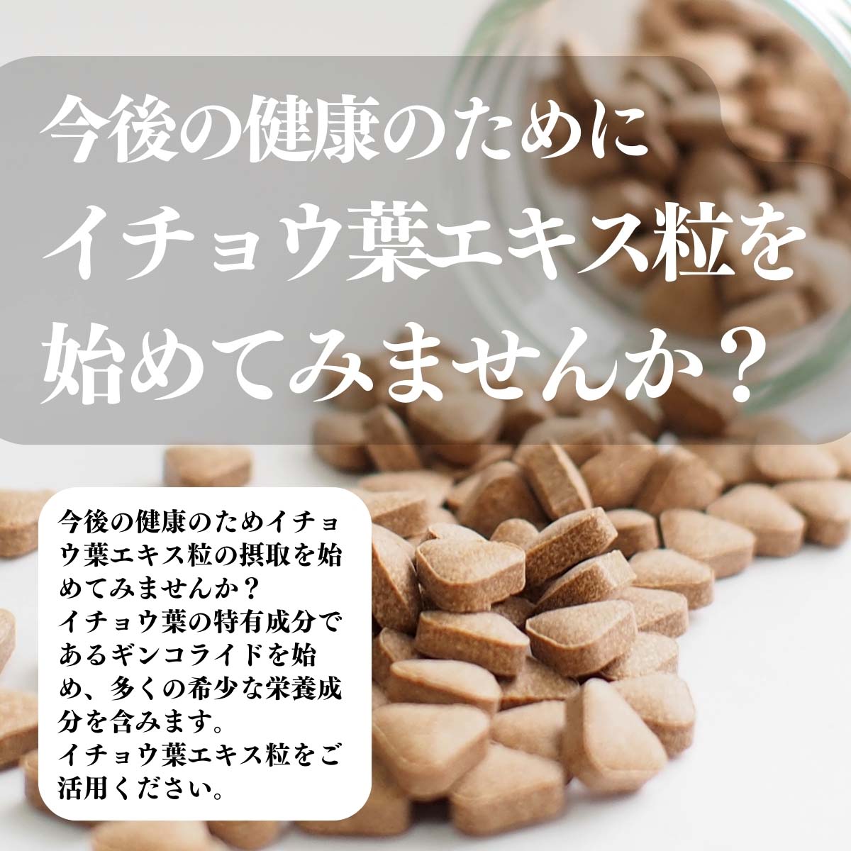 イチョウ葉エキス粒を始めてみませんか？