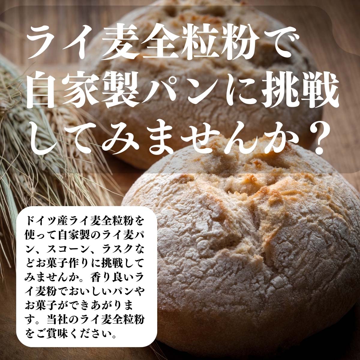 ライ麦全粒粉で自家製パンに挑戦してみませんか？