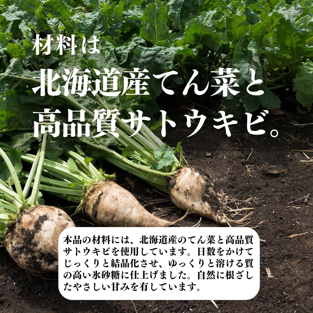 材料は北海道産てん菜と高品質サトウキビ