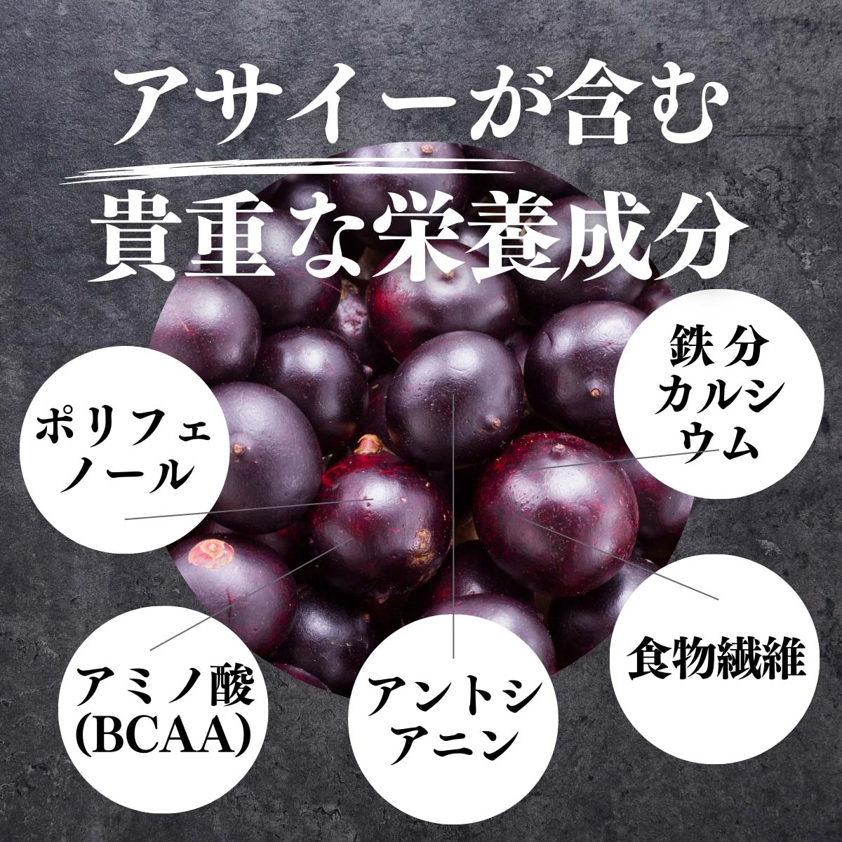 アサイーパウダーが含む貴重な栄養成分