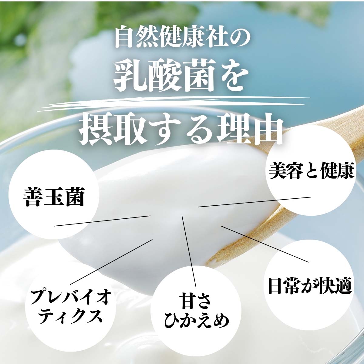 乳酸菌を摂取する理由