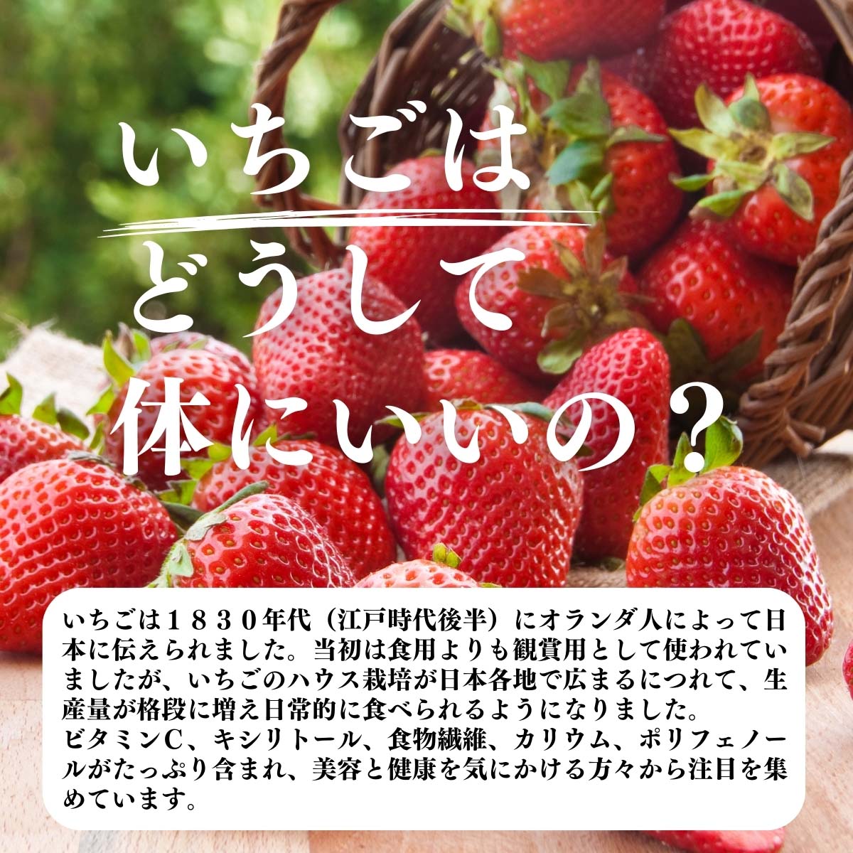 いちごはどうして体にいいの？