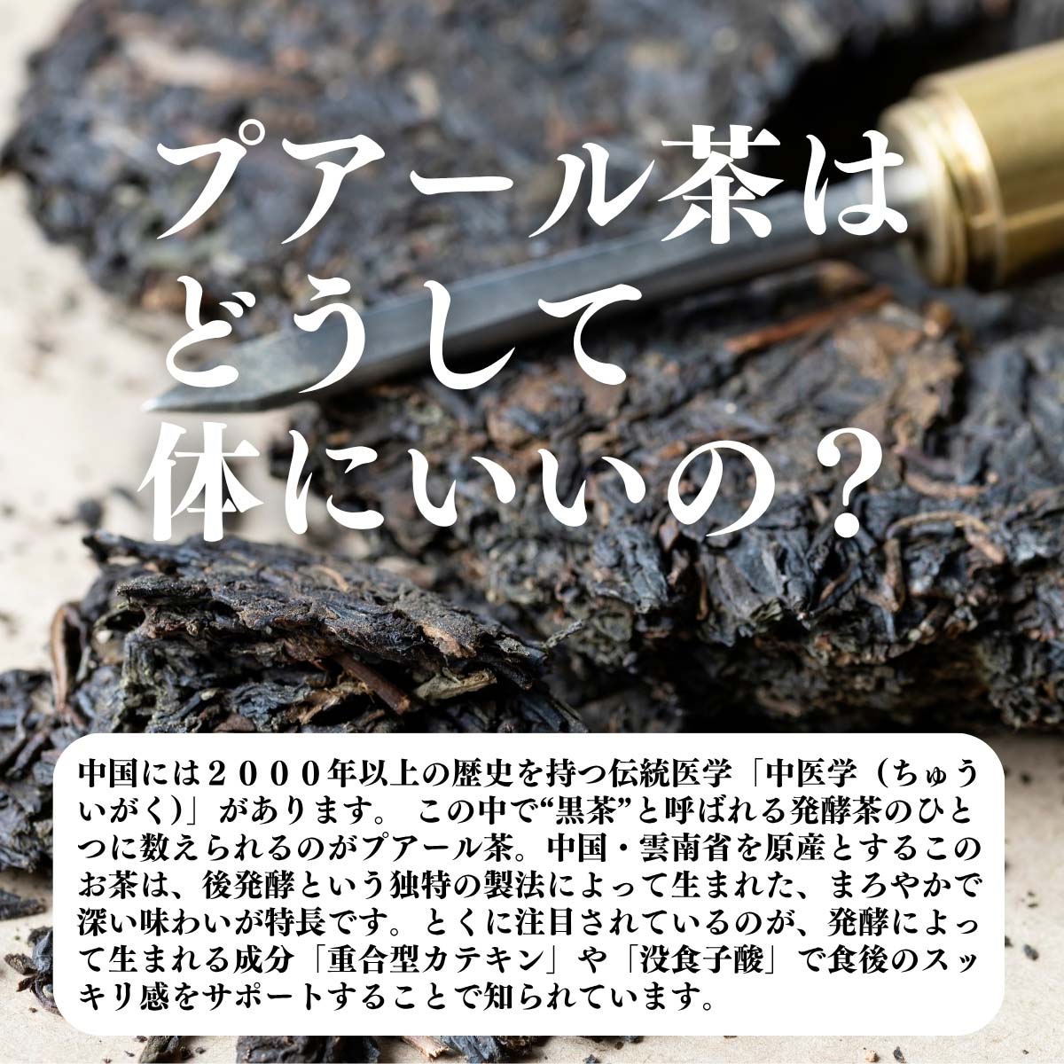 プアール茶はどうして体にいいの？