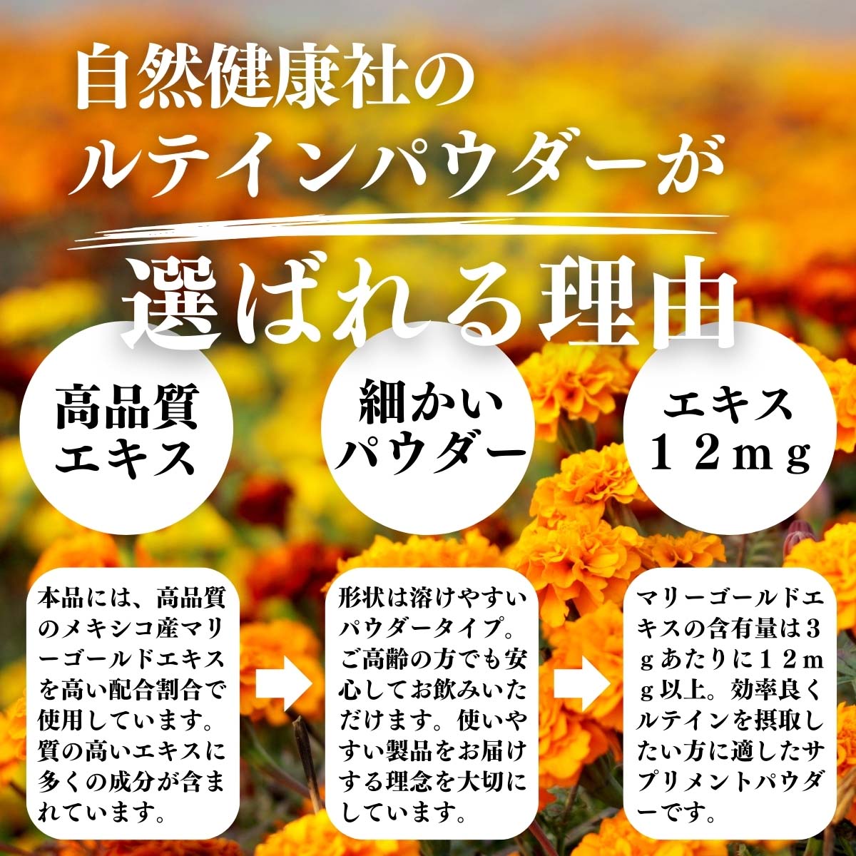 ルテインパウダーが選ばれる理由