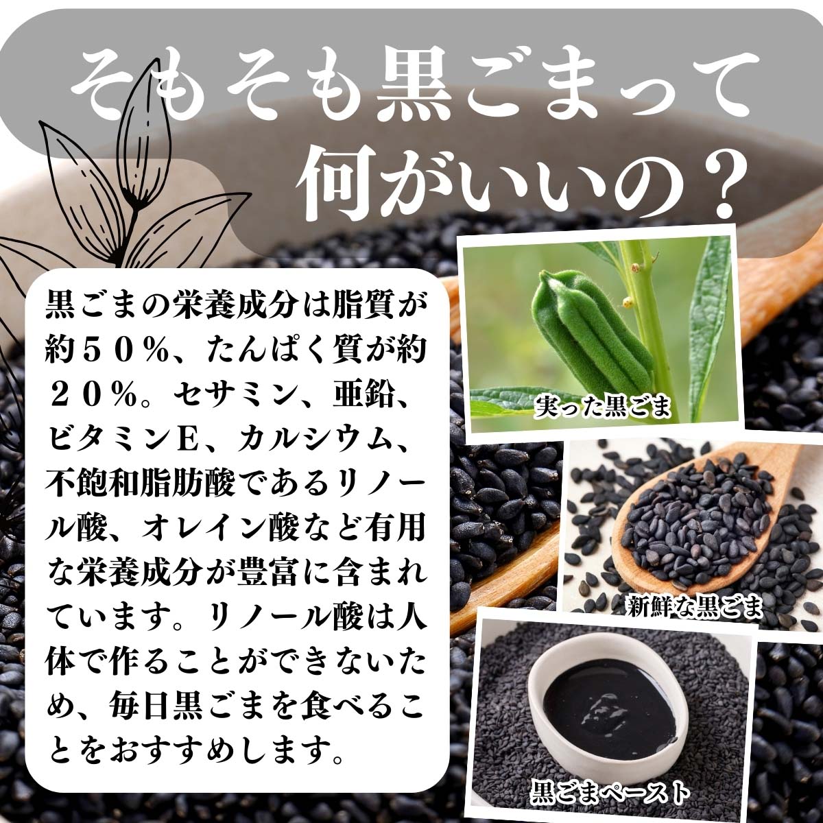 黒ごまって何がいいの？