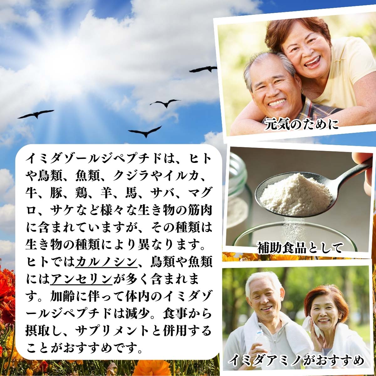 元気のために、補助食品として、イミダアミノがおすすめ