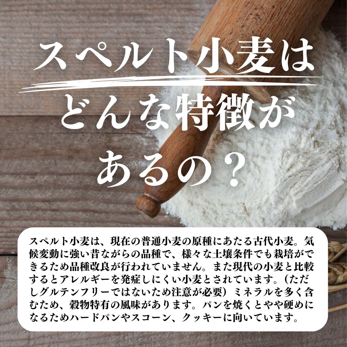 スペルト小麦はどんな特徴があるの？