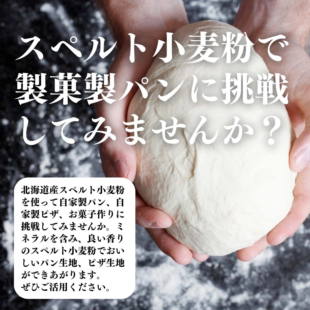 スペルト小麦粉で製菓製パンに挑戦してみませんか？