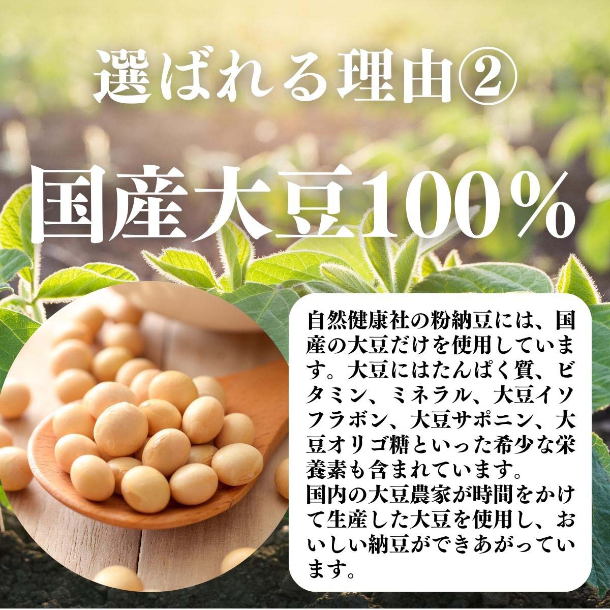 理由２国産大豆100％