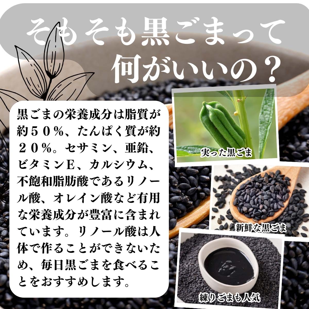 そもそも黒ごまって何がいいの？