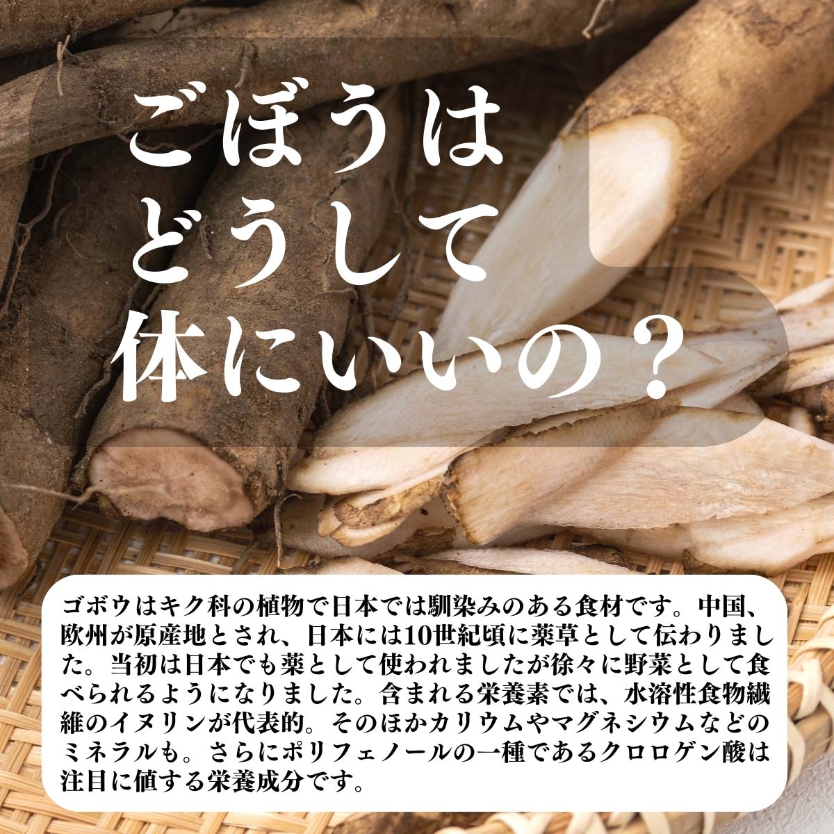 ごぼうはどうして体にいいの？