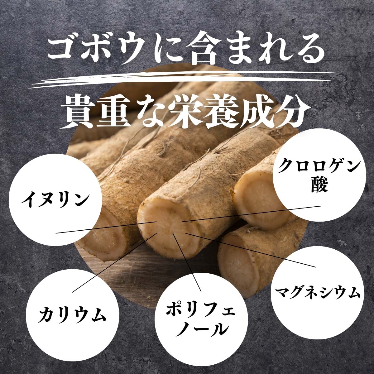 ゴボウに含まれる栄養素