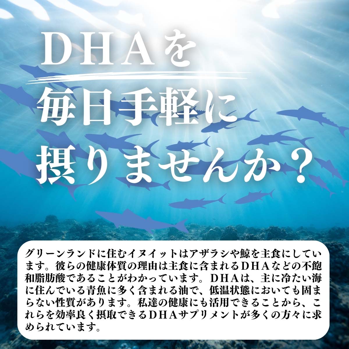 DHAを毎日手軽に摂りませんか？