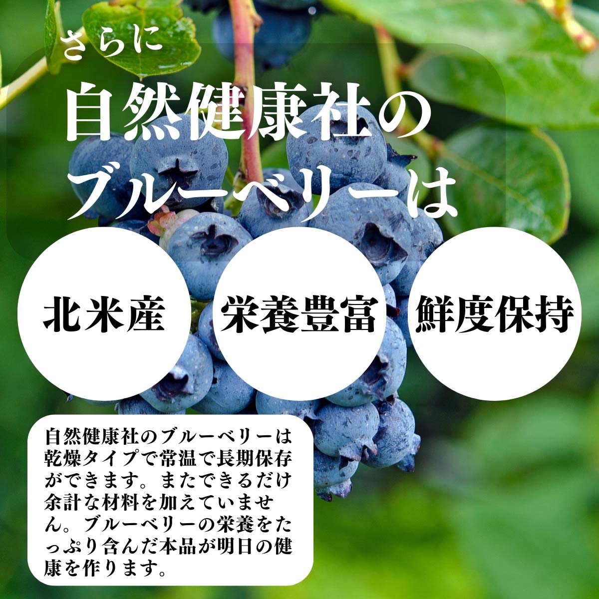 カナダ産、栄養豊富、鮮度保持