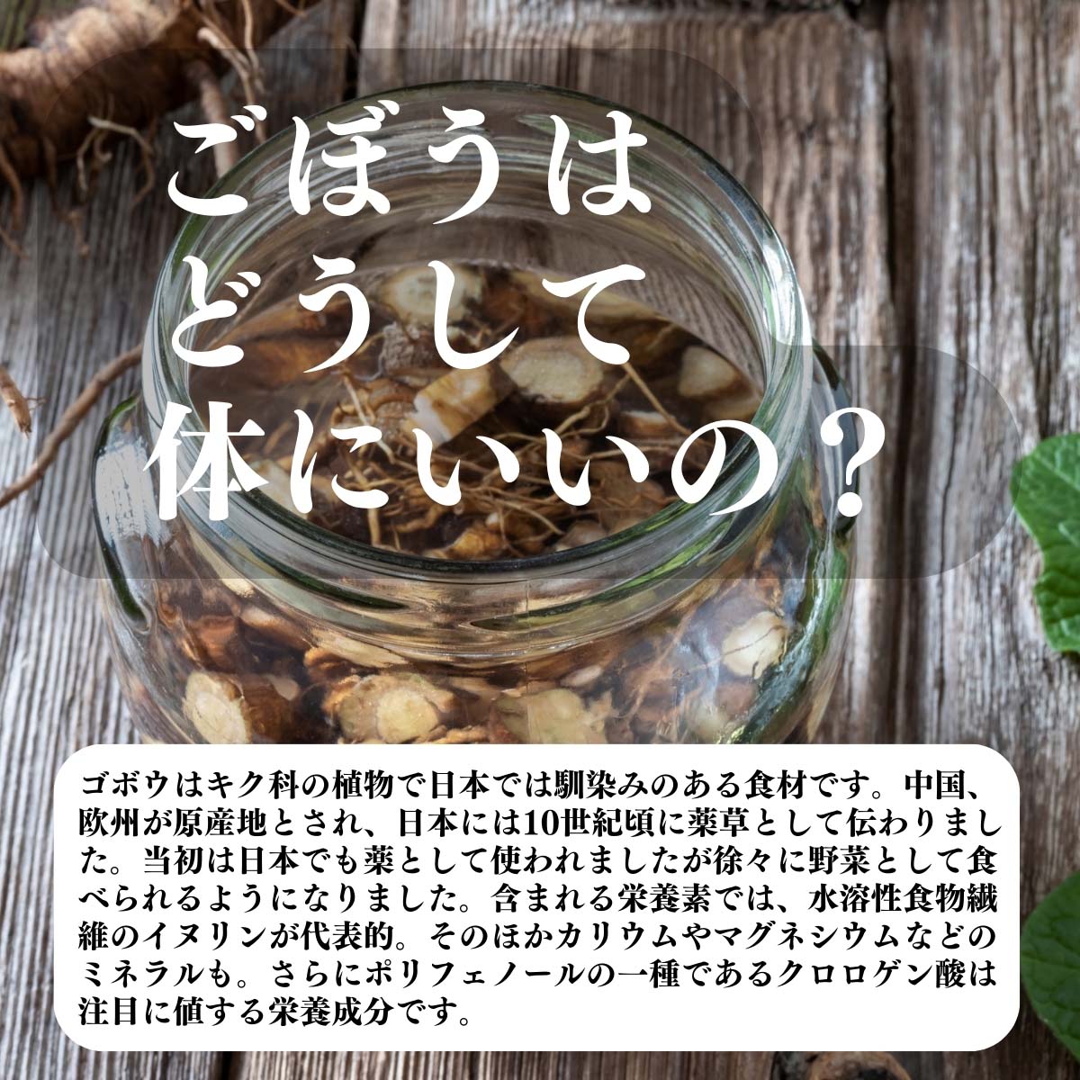 ごぼうはどうして体にいいの？